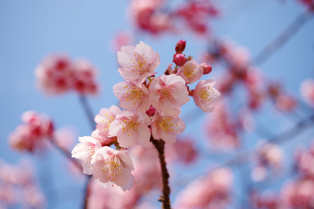 График работы магазина на майские праздники