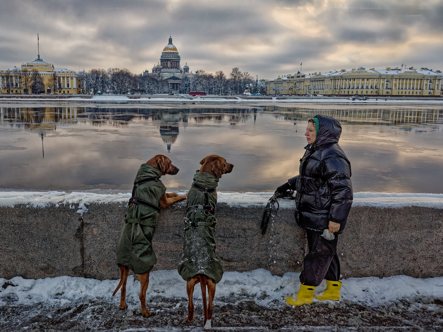 Александр Петросян