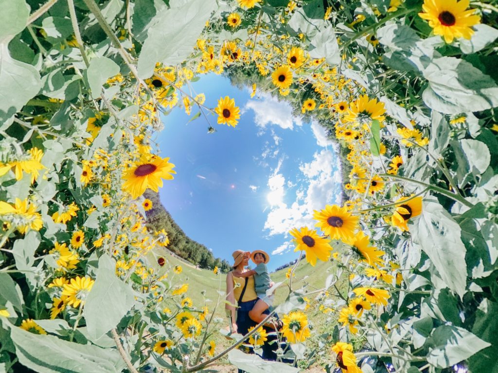 Делитесь и получайте удовольствие от фотографий 360°!