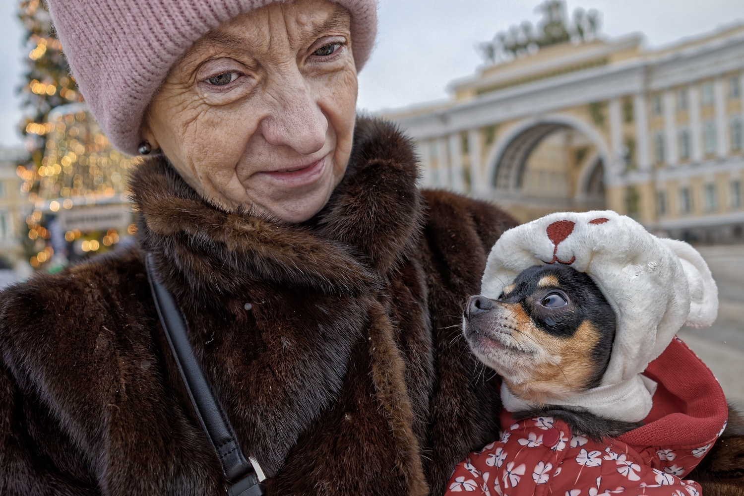 Александр Петросян