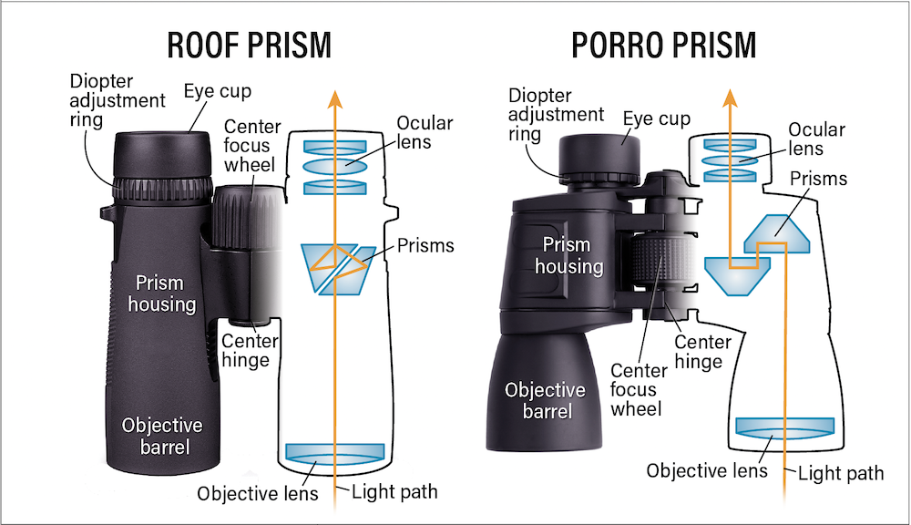 Различие в линзах биноклей